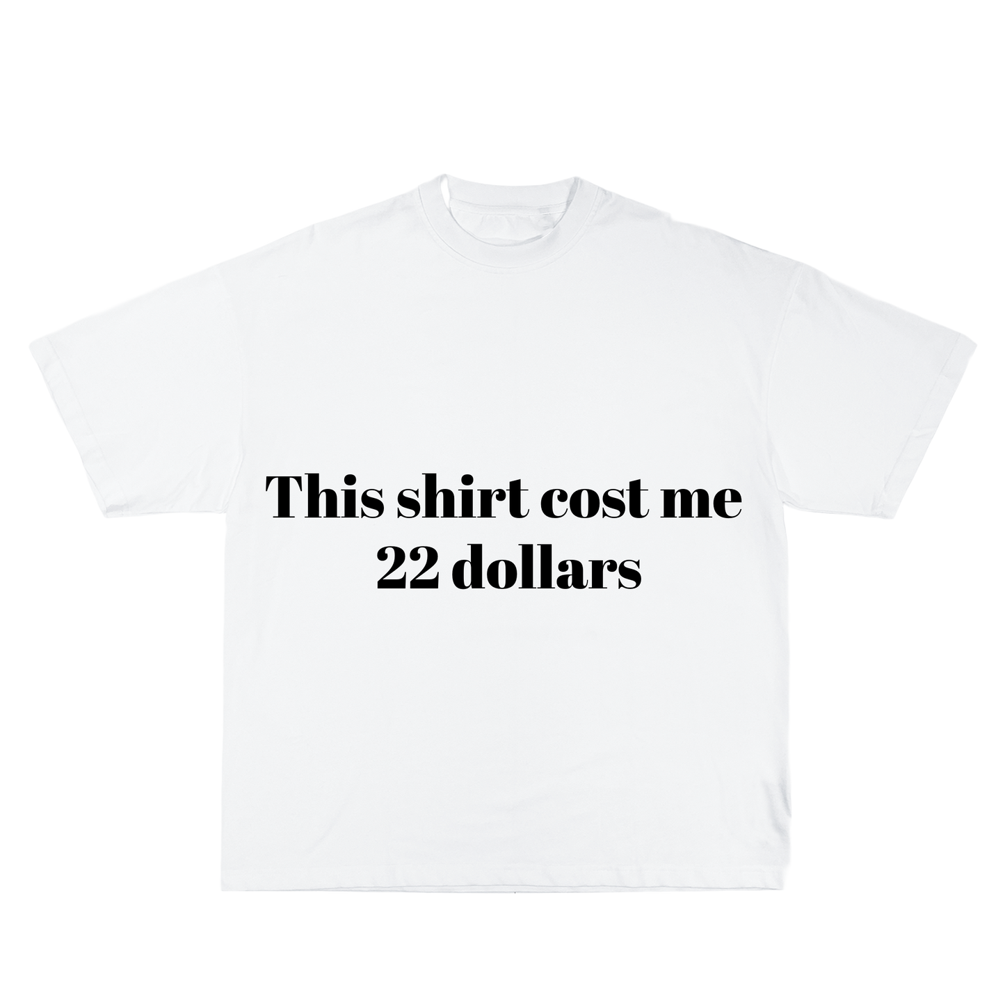 This Shirt Cost 22 Dollars